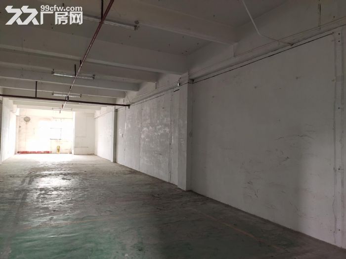 龙岗区上李朗方鑫路20号莱茵工业区楼上290平红本才厂房出租-图4