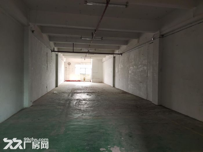 龙岗区上李朗方鑫路20号莱茵工业区楼上290平红本才厂房出租-图6