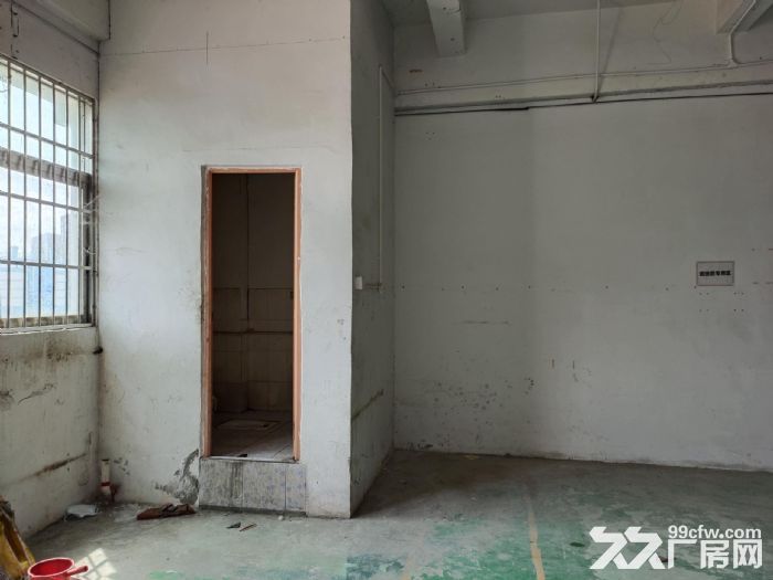龙岗区上李朗方鑫路20号莱茵工业区楼上290平红本才厂房出租-图5