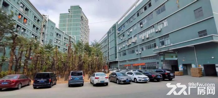 光明新区原房东3.6万独门独院厂房招租-图1