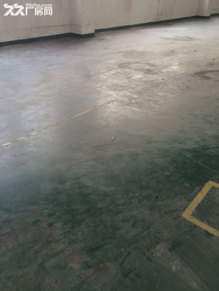 金鼎标准厂房出租，交通方便-图1