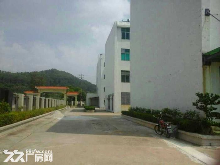 园区基础配备齐全，可进货柜车。-图1