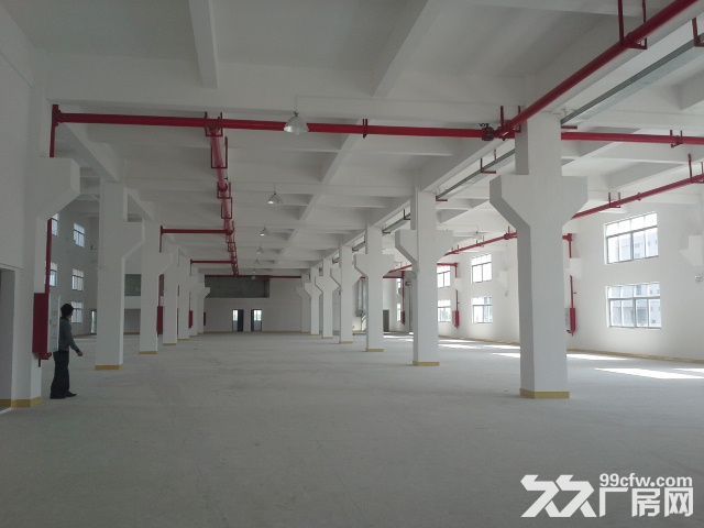 直租平沙7000平方厂房（仅租10元）-图1