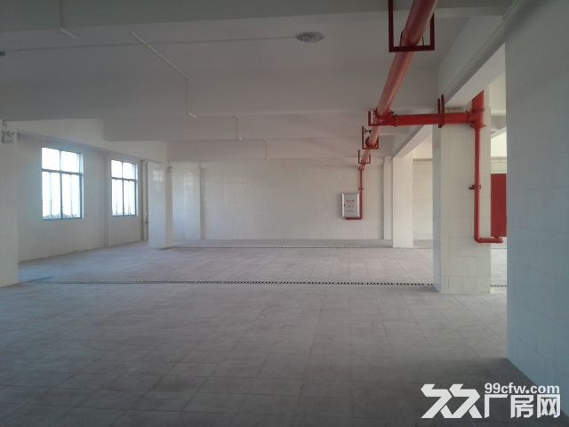 直租平沙7000平方厂房（仅租10元）-图8