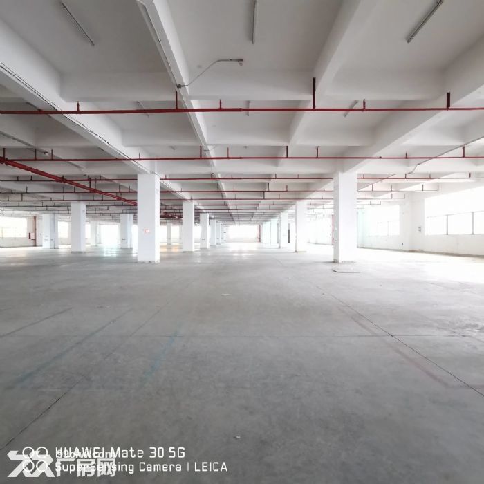 金湾1~3楼1000~4200平分租，带消防喷淋，卸货平台-图1