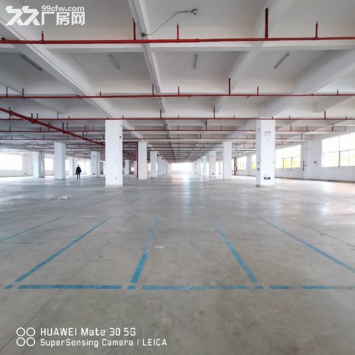 金湾1~3楼1000~4200平分租，带消防喷淋，卸货平台-图3