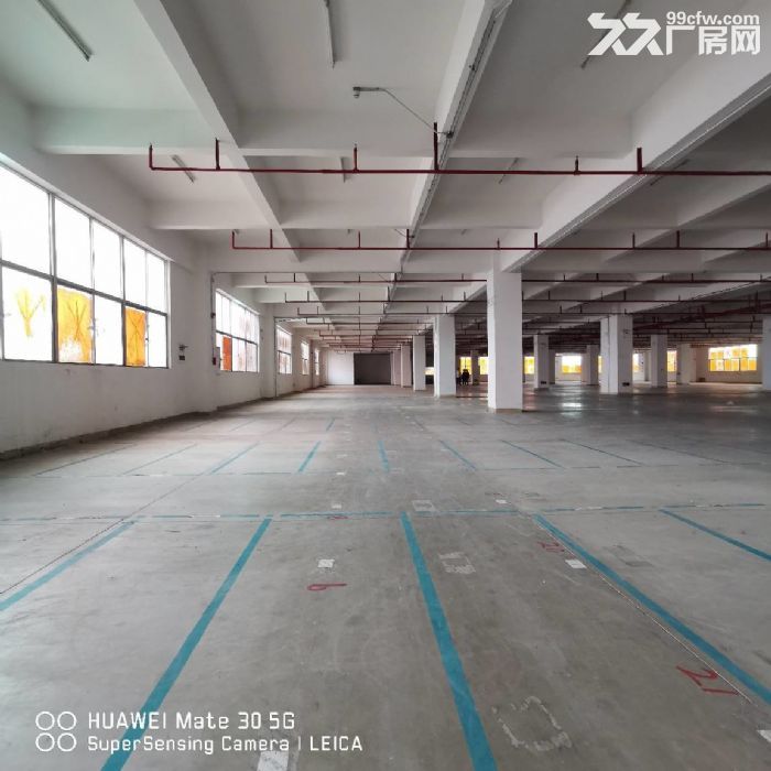 金湾1~3楼1000~4200平分租，带消防喷淋，卸货平台-图5