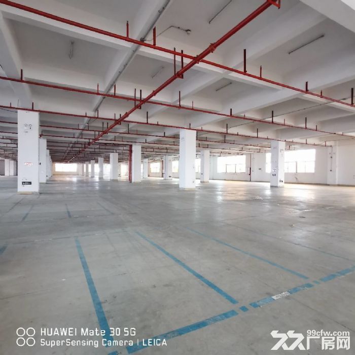 金湾1~3楼1000~4200平分租，带消防喷淋，卸货平台-图4