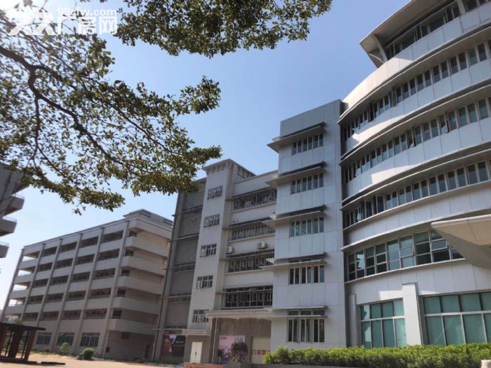 斗门白蕉 新行政中心，5万方升级产业园区厂房，位置优越享政补-图1