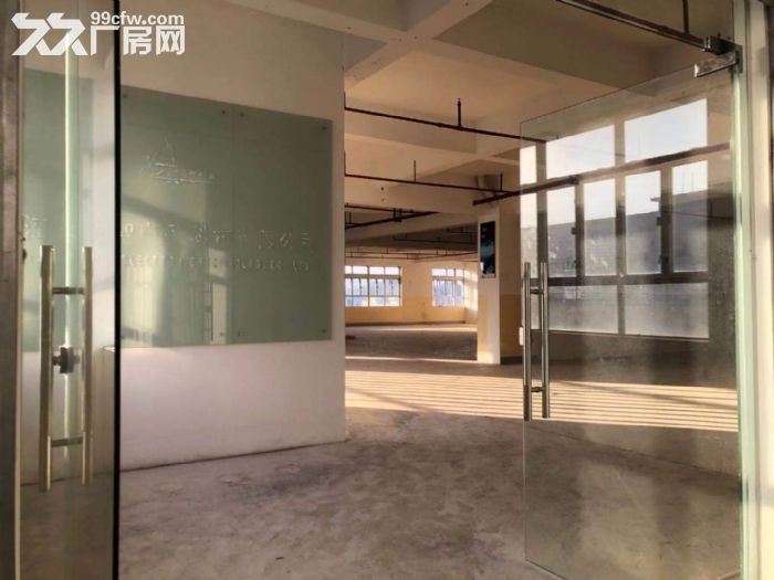 斗门白蕉 新行政中心，5万方升级产业园区厂房，位置优越享政补-图7