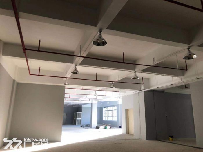 斗门白蕉 新行政中心，5万方升级产业园区厂房，位置优越享政补-图6