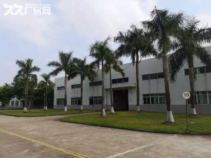 高新区科技创新海岸标准厂房一楼 全部一楼20000平米 可分租-图1