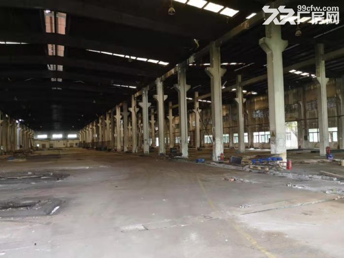 高新区科技创新海岸标准厂房一楼 全部一楼20000平米 可分租-图5