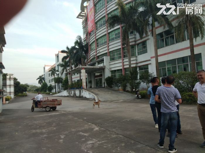 珠海市斗门镇厂房办公楼，空地饭堂招商。-图2