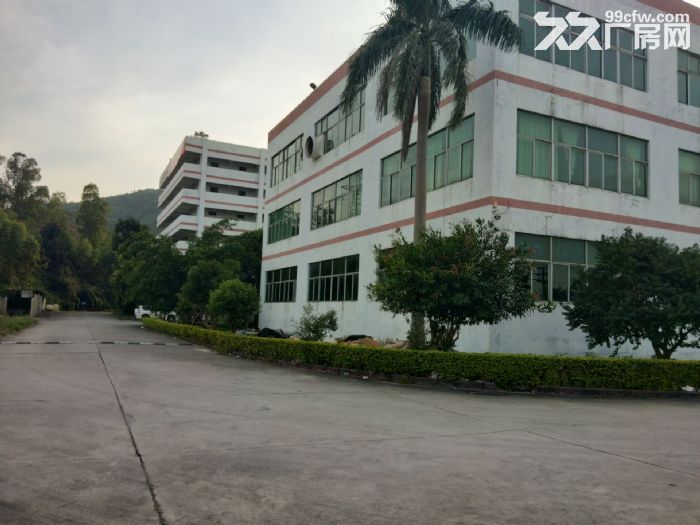 珠海市斗门镇厂房办公楼，空地饭堂招商。-图3