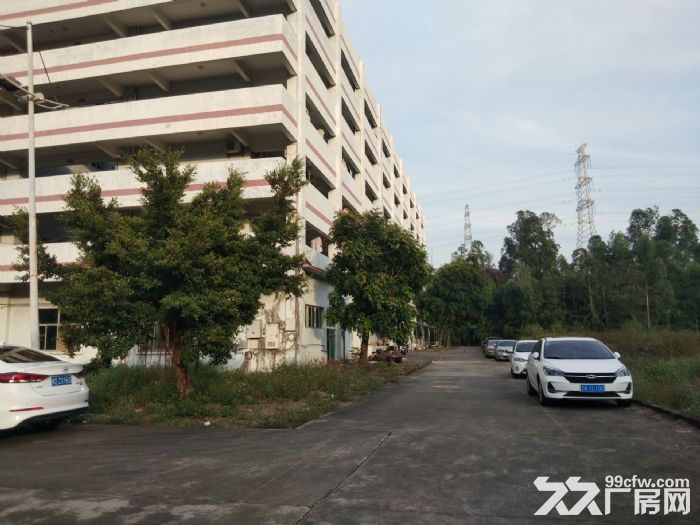 珠海市斗门镇厂房办公楼，空地饭堂招商。-图4