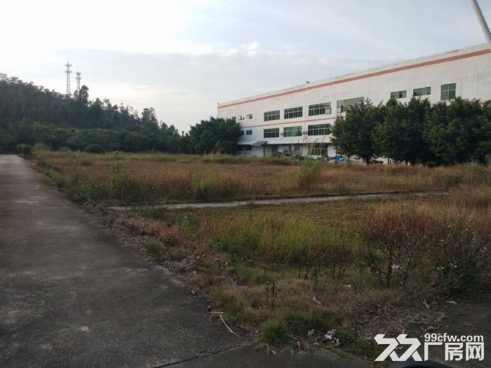 珠海市斗门镇厂房办公楼，空地饭堂招商。-图5