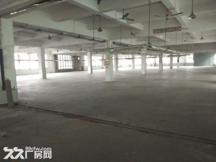珠海市斗门镇厂房办公楼，空地饭堂招商。-图8