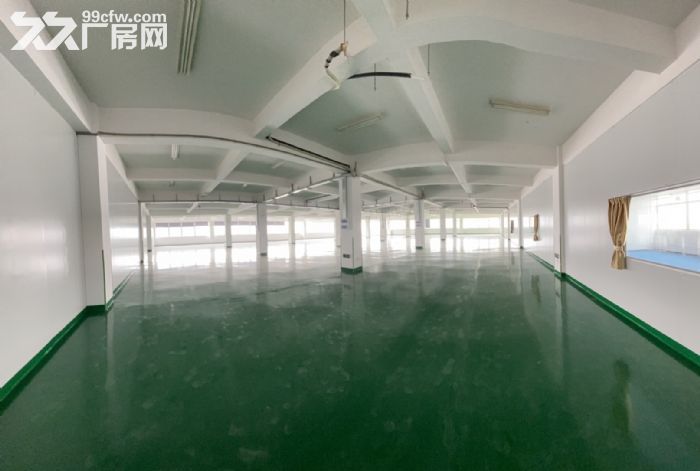 珠海全新标准工业厂房-图2