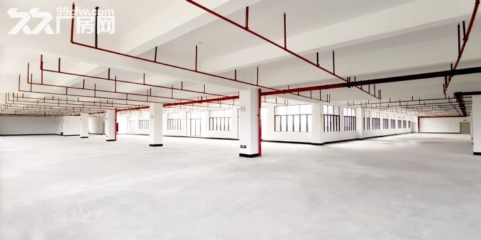 顺益科技园一栋一层招商！-图4