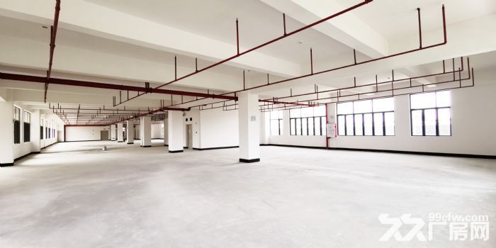 顺益科技园一栋一层招商！-图5