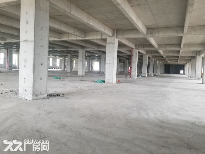 直租斗门普通及高标仓库厂房 大型冷库，可分租-图2
