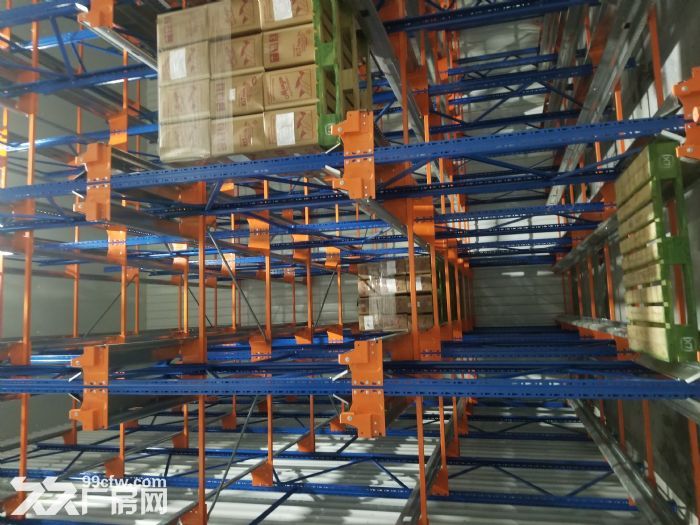 直租斗门普通及高标仓库厂房 大型冷库，可分租-图4