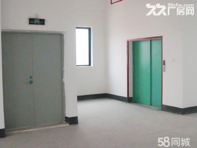 珠海金湾区小林联港工业园首层厂房出租-图6