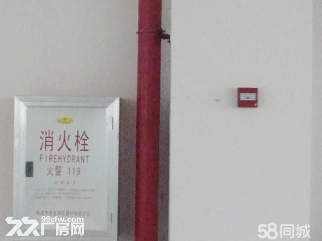 珠海金湾区小林联港工业园首层厂房出租-图7