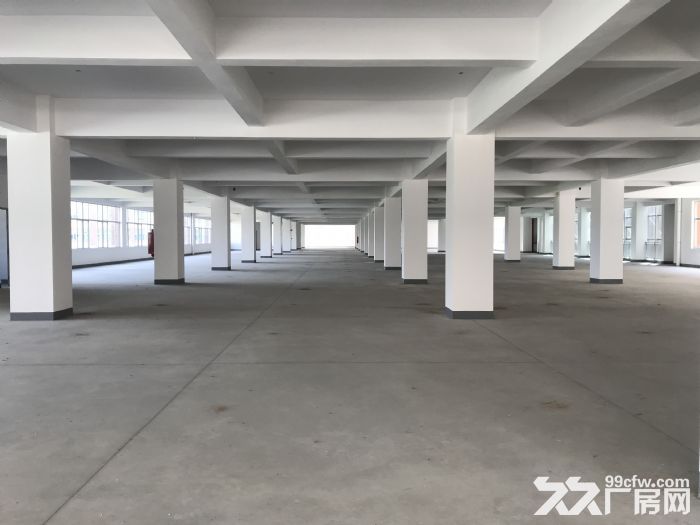 珠海业主全新标准厂房出租-图6