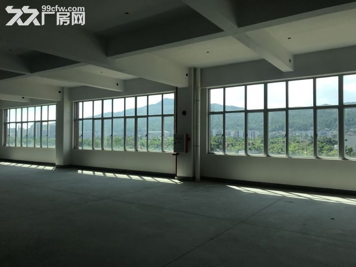 珠海业主全新标准厂房出租-图7