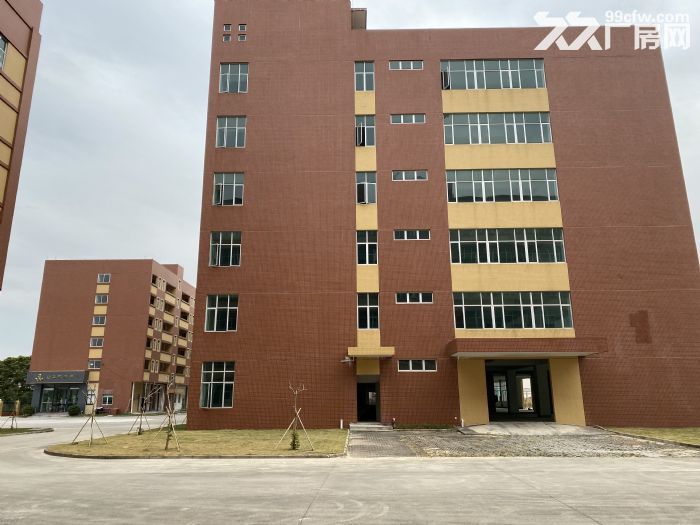 金湾全新优质厂房出租，价格优惠。-图2