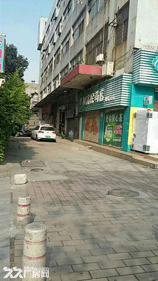 邻近明珠广场６０至８００平方商铺、厂房、办公室、仓库招租-图2