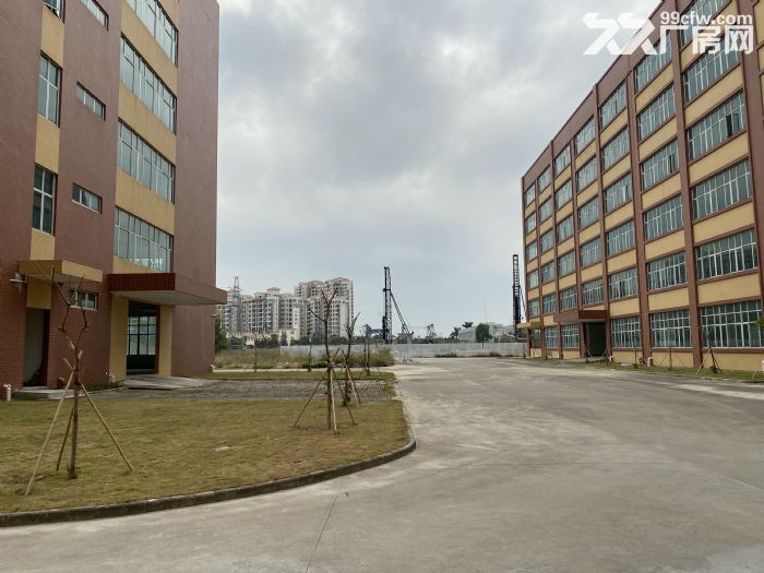 金湾全新优质厂房出租，价格优惠。-图3