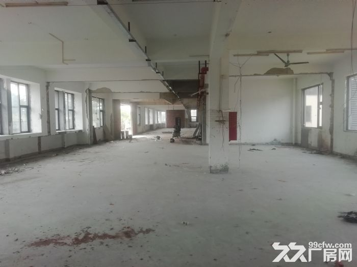 珠海市金湾区平沙镇 全新花园式工业厂房出租-图1