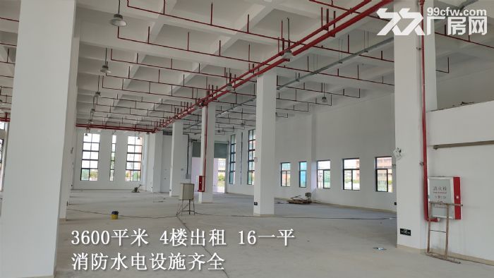 企业闲置楼层 面积3600m² 4楼出租 黄金地段 租金便宜-图2