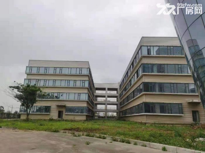 珠海大道边上红旗单一层厂房20000平米可分租带行车-图4