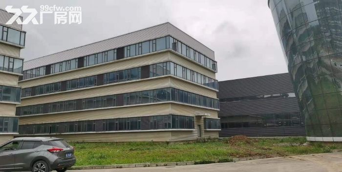 珠海大道边上红旗单一层厂房20000平米可分租带行车-图1