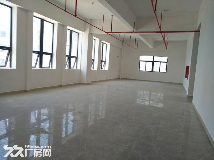 业主直租前山全新标准厂房超万平方-图1