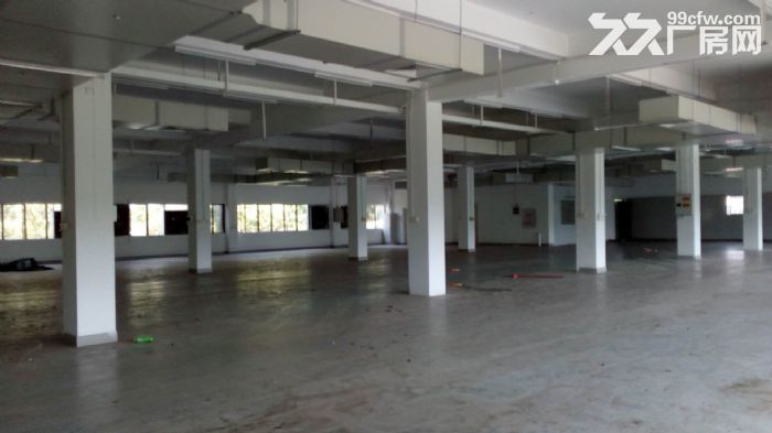 南屏科技园屏东一楼600&minus;800&minus;1350平方厂房出租-图1