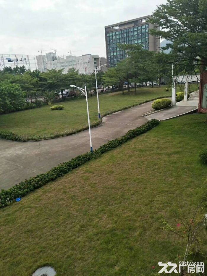 南屏科技园屏东一楼600&minus;800&minus;1350平方厂房出租-图7