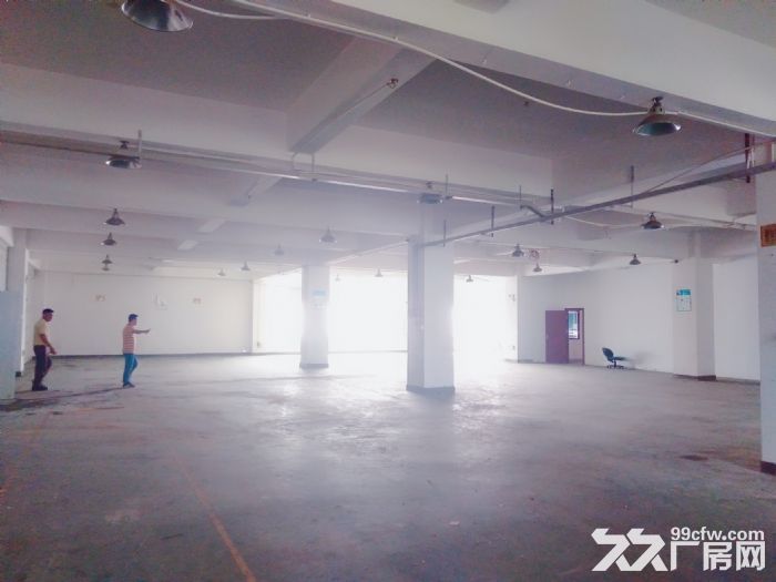 南屏科技园920平方一楼厂房，带装修拎包入驻-图1