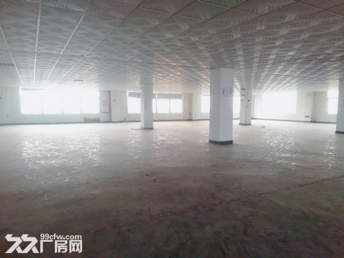 南屏科技园920平方一楼厂房，带装修拎包入驻-图5