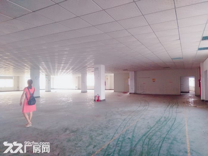 南屏科技园920平方一楼厂房，带装修拎包入驻-图4