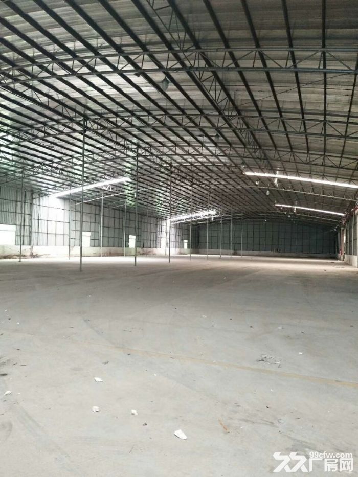 金湾红旗25000平方单一层厂房，位置好，配套齐-图2
