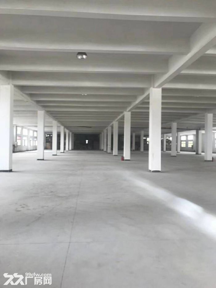 金湾红旗25000平方单一层厂房，位置好，配套齐-图1