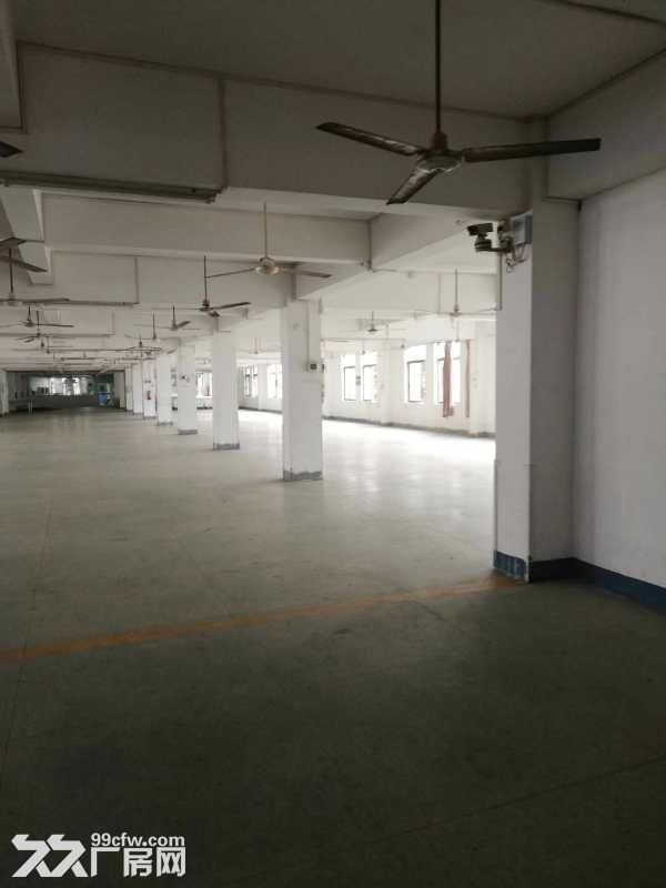 直租翠微二楼2300平方厂房 300平起分租 带装修-图1