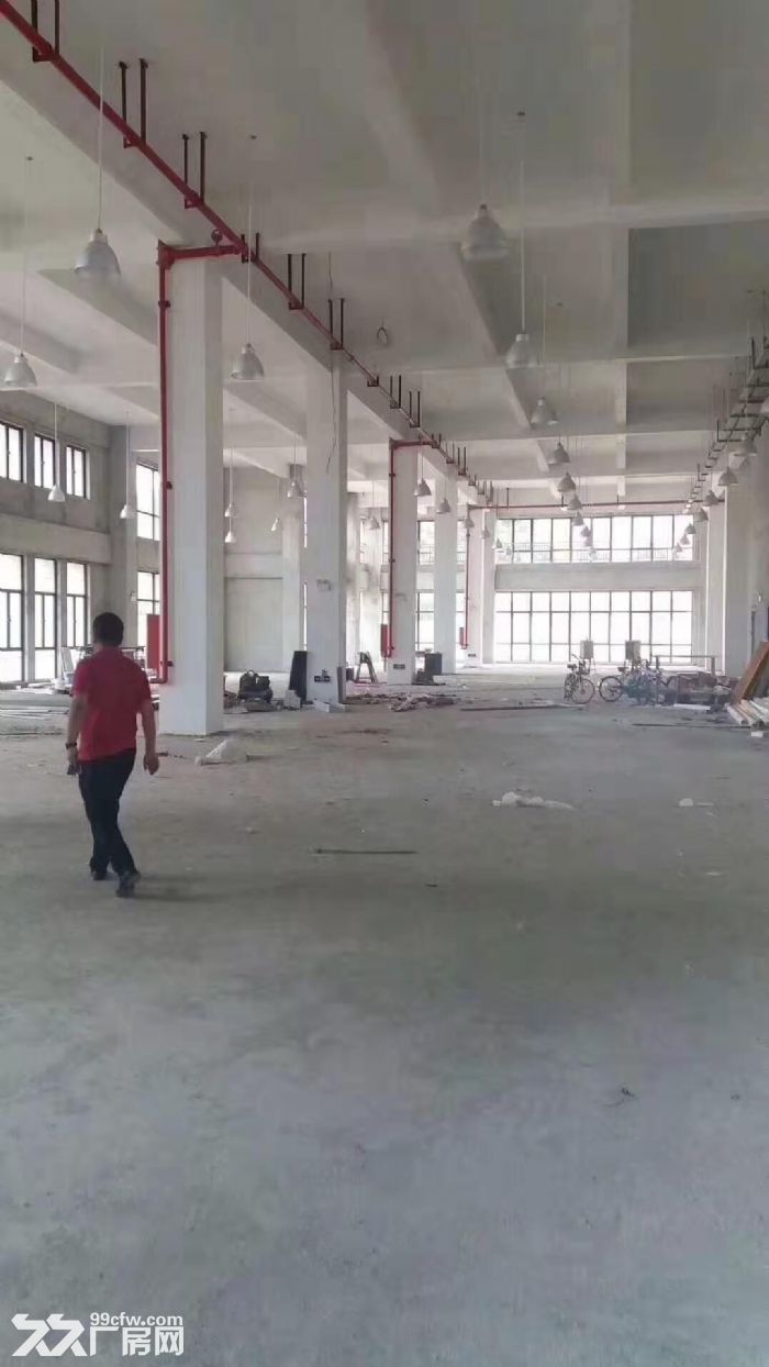 南屏科技园550平方~1700平方一楼厂房直租-图4