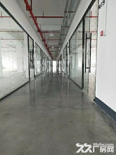 南屏科技园550平方~1700平方一楼厂房直租-图5