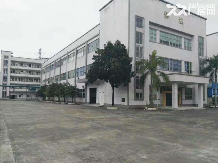 金湾联港500方~1500方~8000平方厂房直租-图3